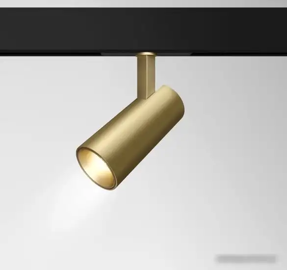 Точечный светильник Maytoni TR019-2-15W3K-MG – фото товара