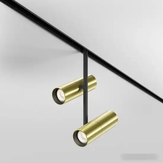 Трековый светильник Maytoni Elti Duo TR005-2-2X12W3K-BBS – фото товара