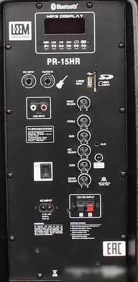 Колонка для вечеринок Leem PR-15HR – фото товара