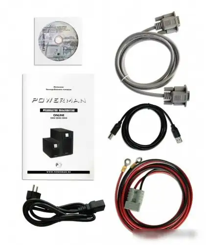 Источник бесперебойного питания Powerman Online 1000 Plus – фото товара