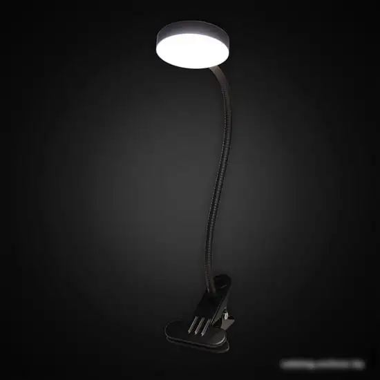 Настольная лампа Citilux Ньютон CL803071N – фото товара