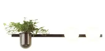 Бра Odeon Light Flower 4681/2W – изображение в каталоге