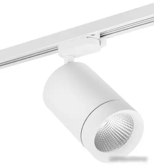 Трековый светильник Lightstar Canno 303262 – фото товара