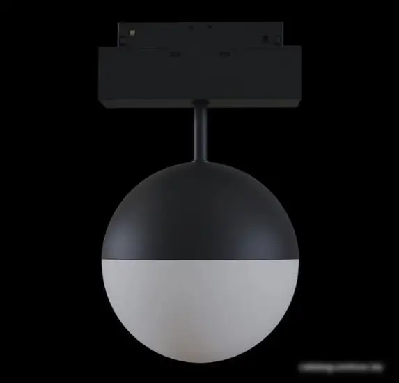 Припотолочная люстра Maytoni TR017-2-10W3K-B – фото товара