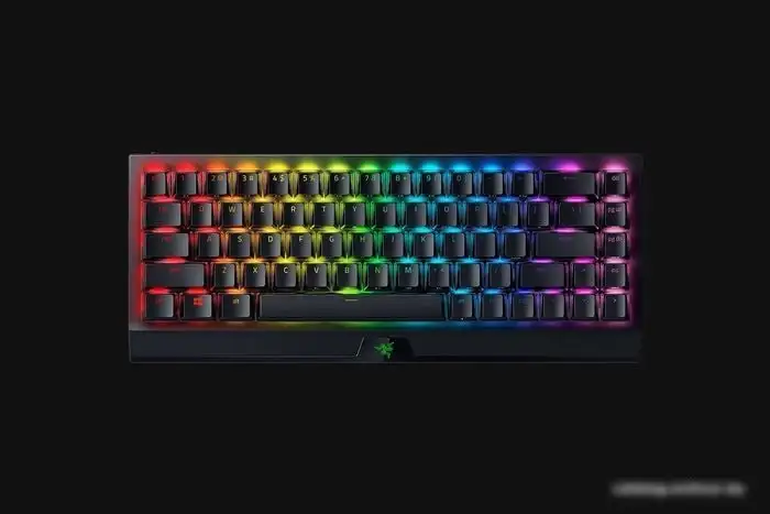 Клавиатура Razer Blackwidow V3 Mini HyperSpeed Green Switch – фото товара