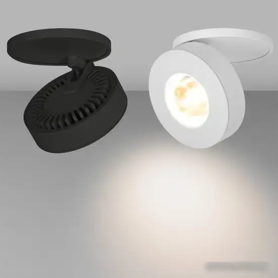 Спот Arlight LGD-MONA-BUILT-R100-12W Warm3000 025450 – фото товара