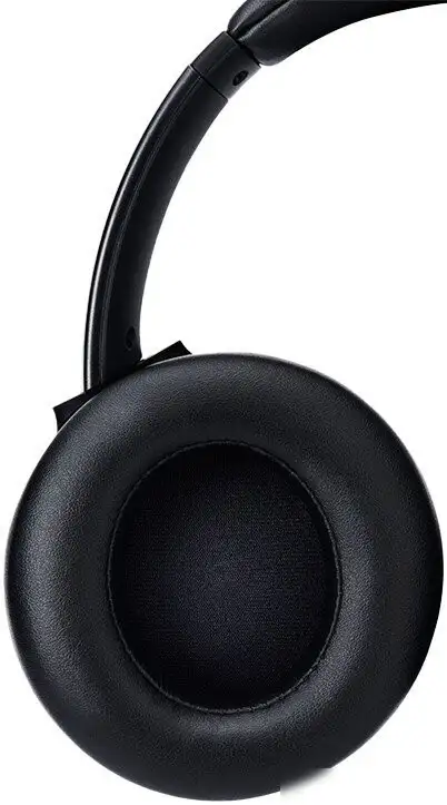 Наушники Panasonic RB-M600BG-K – фото товара