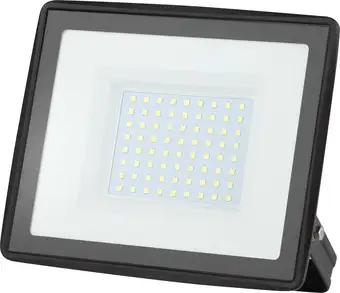 Уличный прожектор ЭРА LPR-023-0-65K-100 – изображение в каталоге