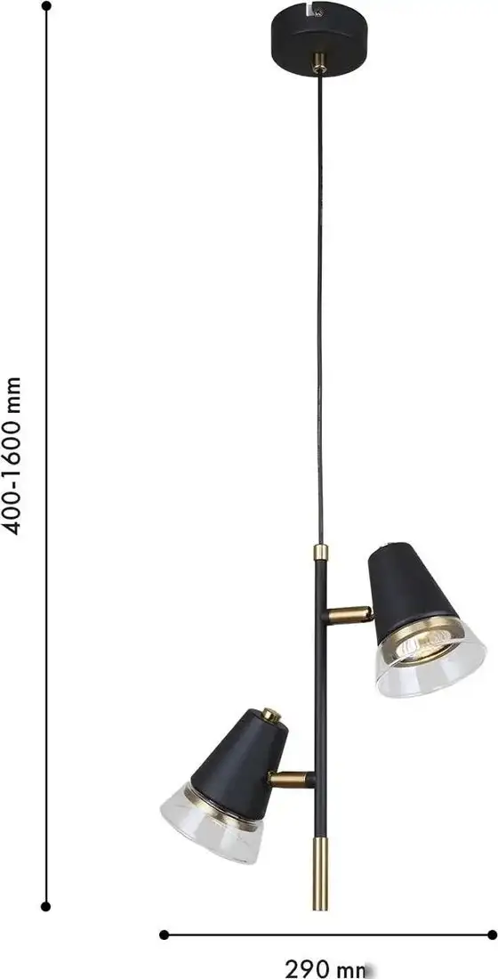 Подвесная люстра F-Promo Trandy 4618-2P – фото товара