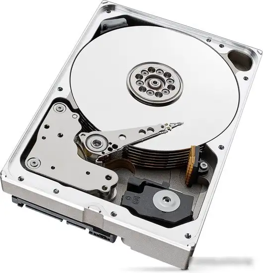 Жесткий диск Seagate Skyhawk 10TB [ST10000VX0004] – фото товара
