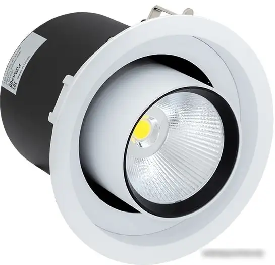 Точечный светильник DesignLed SPL-R1-25-NW – фото товара