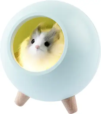 Ночник ЭРА NLED-468-1W-GR – изображение в каталоге