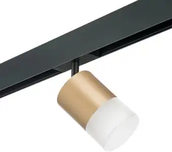 Трековый светильник Lightstar Rullo PRO349081 – изображение в каталоге