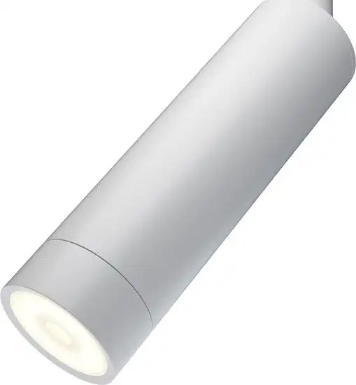 Точечный светильник Maytoni TR019-2-7W3K-W – фото товара
