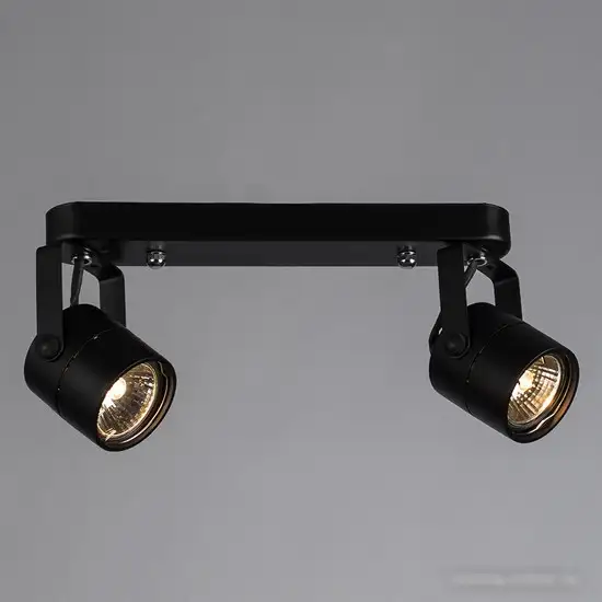 Спот Arte Lamp Mizar A1311PL-2BK – фото товара