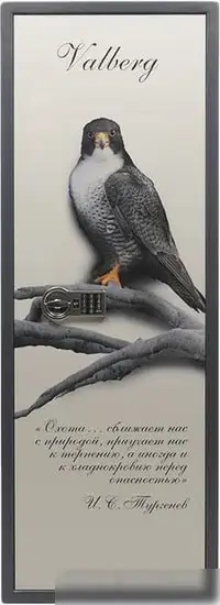 Оружейный сейф Valberg Сапсан-4.EL Print – фото товара