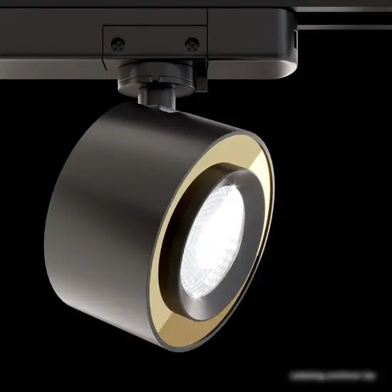 Трековый светильник Maytoni TR023-1-12B3K – фото товара