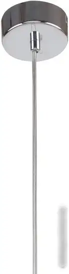 Подвесная люстра Favourite Aenigma 2555-1P – фото товара