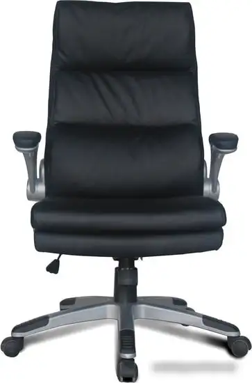 Кресло Brabix Fregat EX-510 (черный) – фото товара