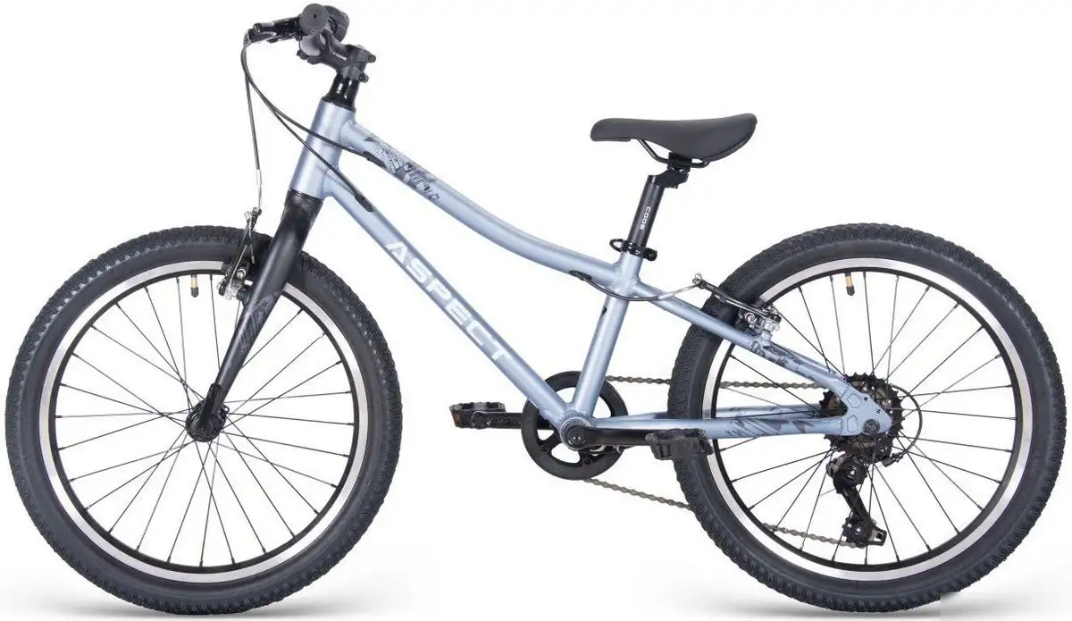 Детский велосипед Aspect Champion 20 2025 (серый) – фото товара