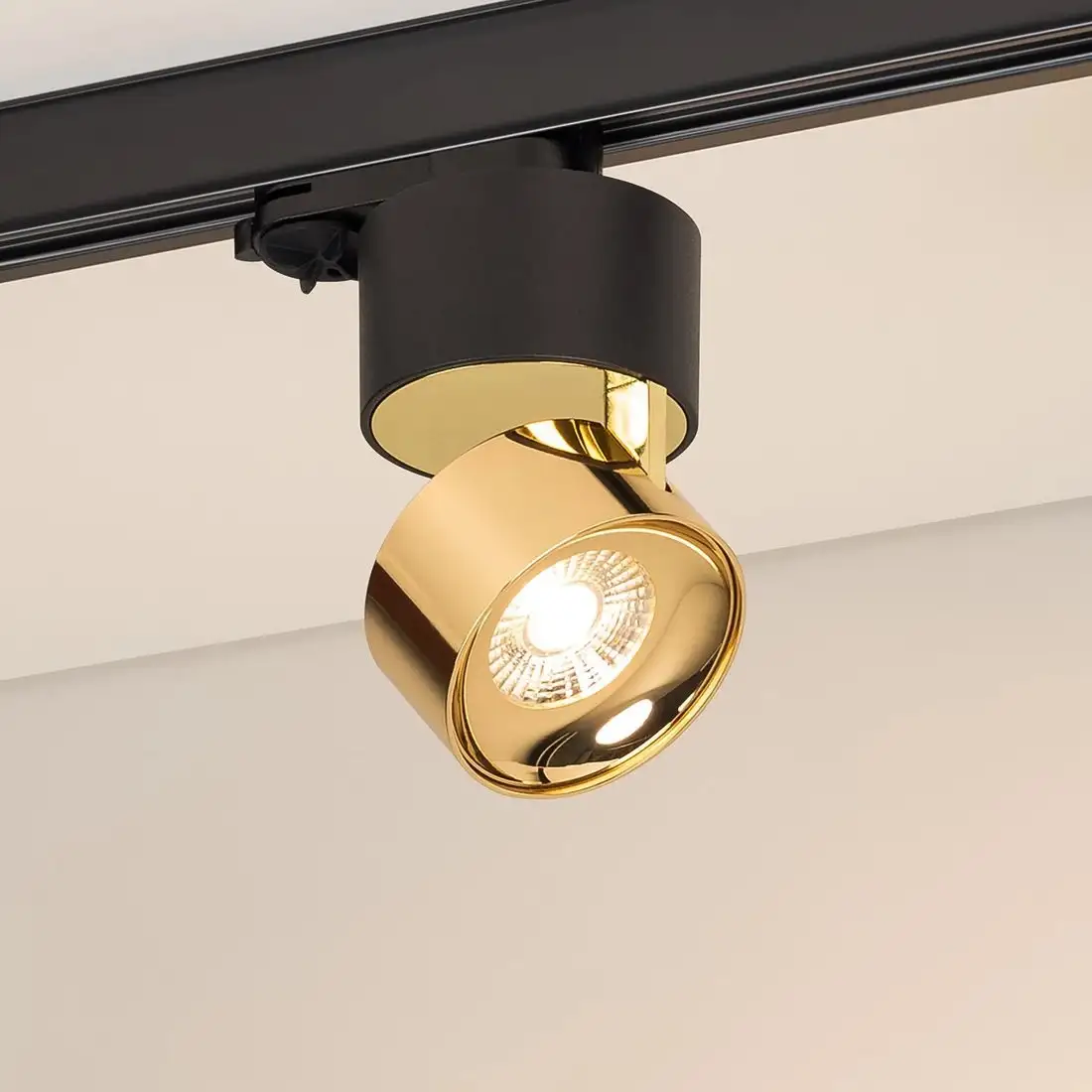 Трековый светильник Arlight SP-PLURIO-TRACK-4TR-R77-9W Warm3000 BK-BRS 36deg 038121 – фото товара