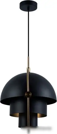 Подвесная люстра LOFT IT Multi-Lite LOFT9915-BL – фото товара