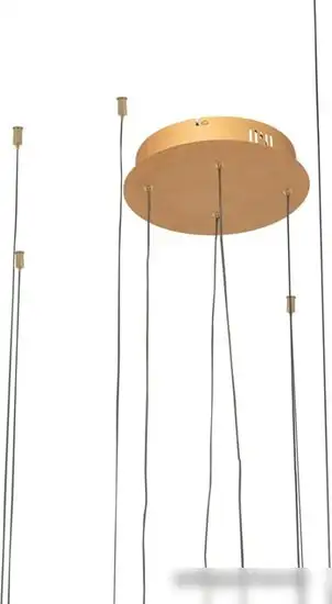 Подвесная люстра LOFT IT Ring 10017/4L – фото товара