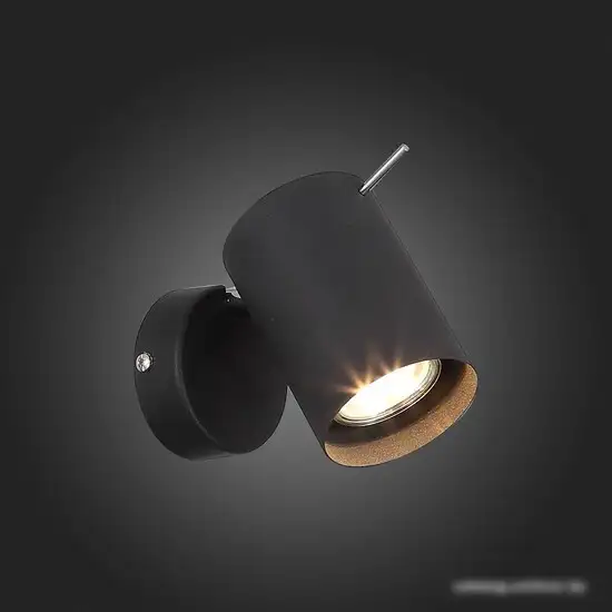 Спот ST Luce Fanale SL597.401.01 – фото товара