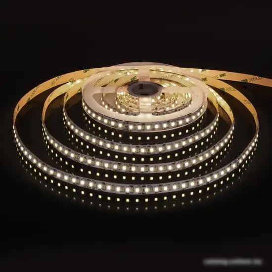 Светодиодная лента Elektrostandard 24V 16W 240Led 2835+2835 IP20 MIX теплый белый/холодный белый a053677 – фото товара