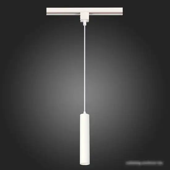 Трековый светильник ST Luce ST152.406.01  – фото товара