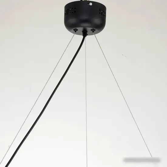 Подвесная люстра Favourite Light Point 2997-6P – фото товара