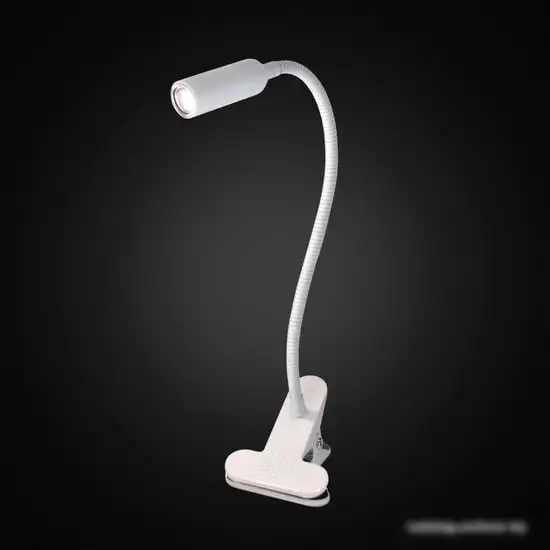 Настольная лампа Citilux Ньютон CL803060N – фото товара