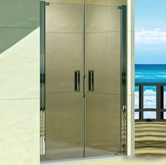 Душевая дверь WeltWasser WW600 600K2-120 - фото товара