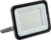 Прожектор IEK СДО 06-100 100 Вт IP65 6500 K (черный) – изображение в каталоге