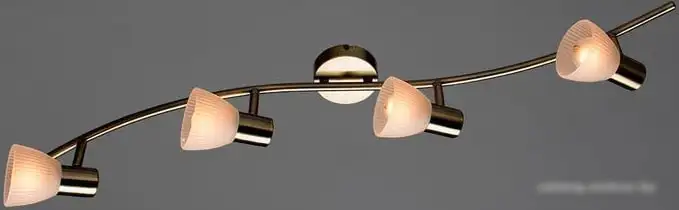 Точечный светильник Arte Lamp Parry A5062PL-4AB – фото товара