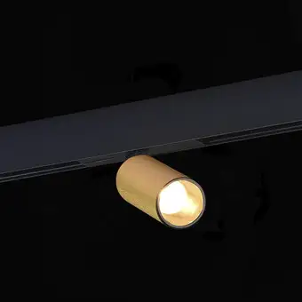 Трековый светильник ST Luce Skyline 48 ST807.236.12 – изображение в каталоге