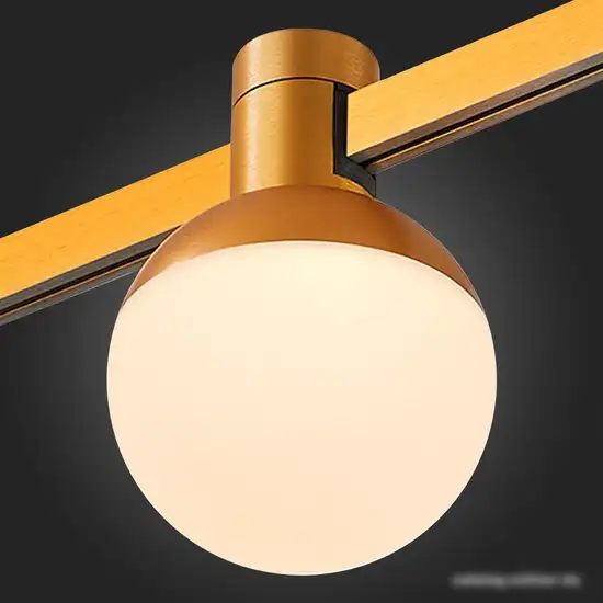 Трековый светильник ST Luce Farm ST815.206.05 – фото товара