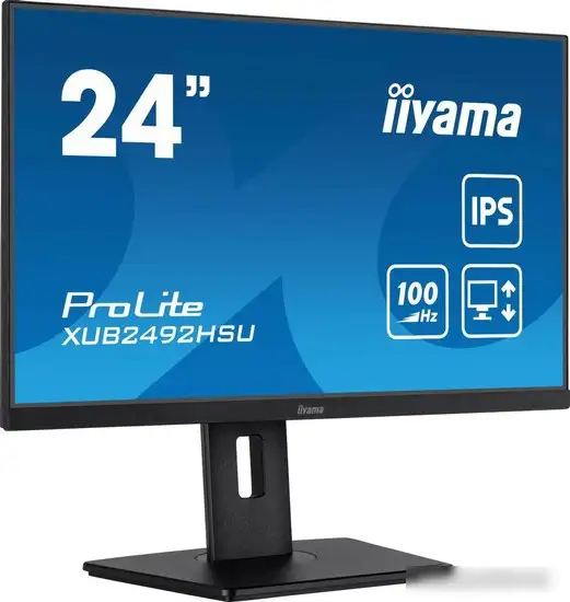 Монитор Iiyama ProLite XUB2492HSU-B6 – фото товара
