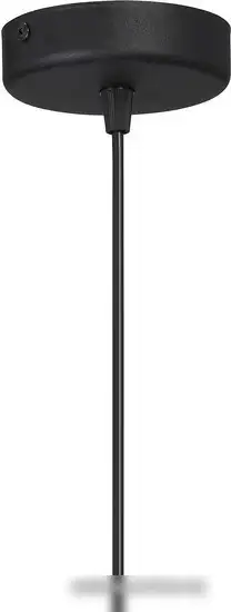 Подвесная люстра Vitaluce V2971-1/1S – фото товара