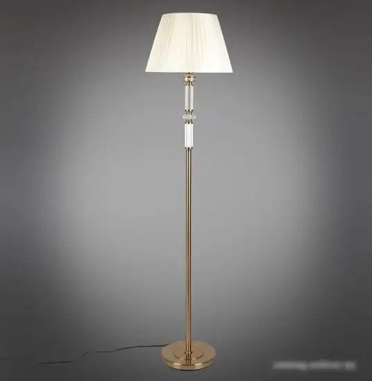 Торшер Aployt Patricia APL.716.15.01 – фото товара