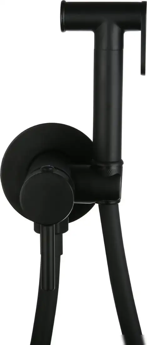 Гигиенический душ Roxen Santi 500940-B - фото товара