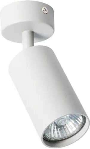 Спот Arte Lamp Aquarius A3216PL-1GY – изображение в каталоге