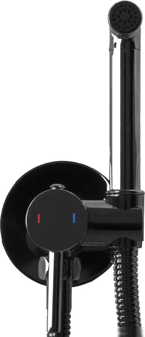 Гигиенический душ Rea Lungo Loop REA-B5656 (черный металлик) - фото товара