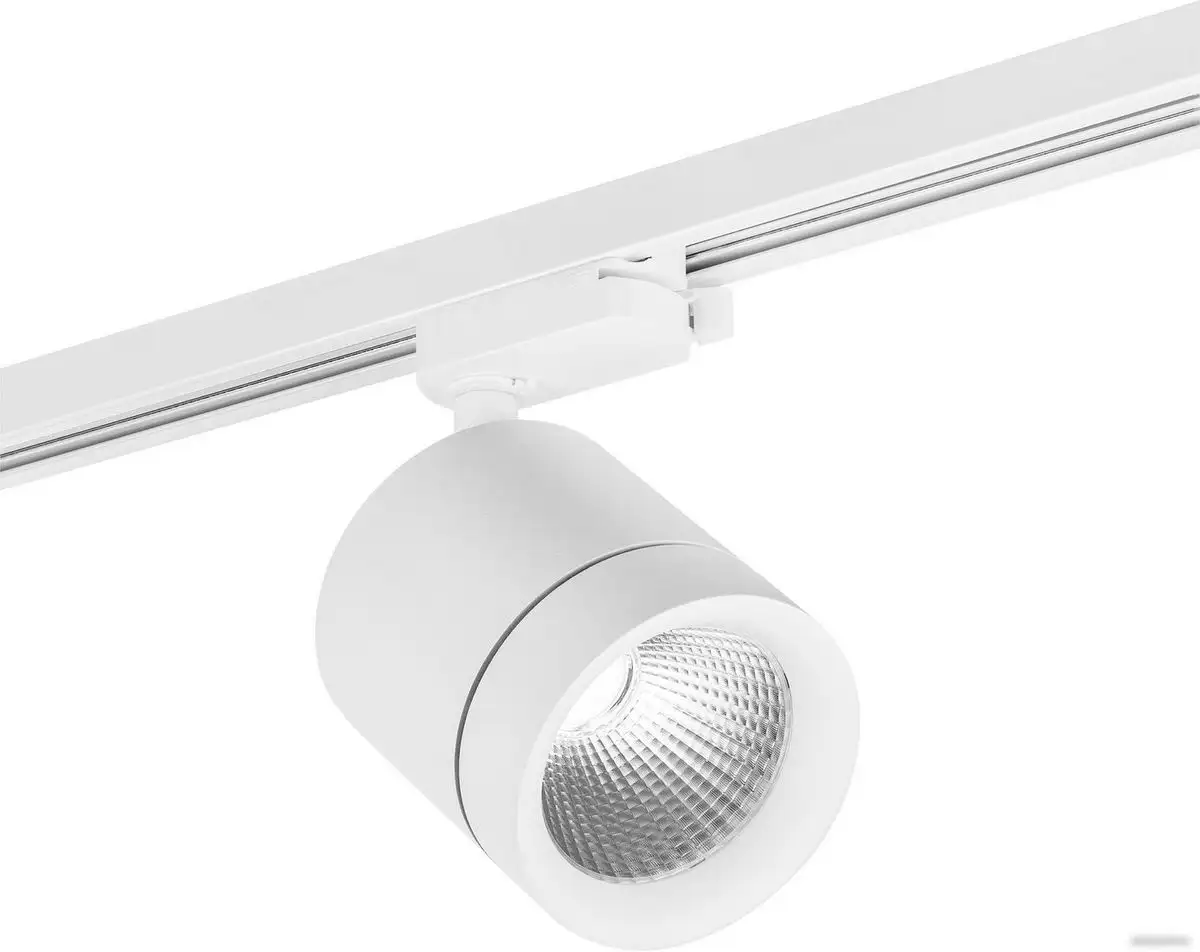 Трековый светильник Lightstar Canno 301262 – фото товара