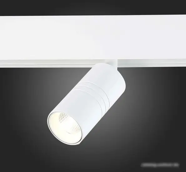 Трековый светильник ST Luce Lemmi ST365.546.07 – фото товара