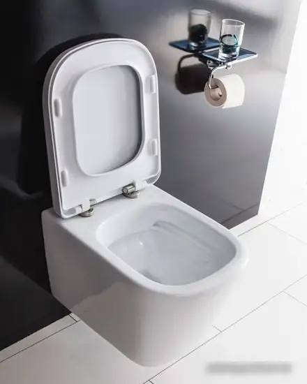 Унитаз BelBagno Alban BB120CHR - фото товара