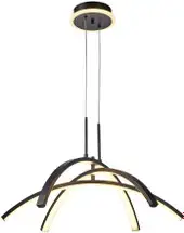 Подвесная люстра Lussole LSP-7195 – изображение в каталоге