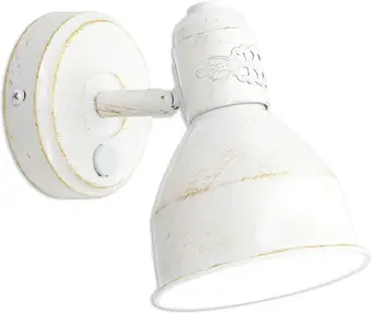 Спот Citilux Опус CL502513 – изображение в каталоге