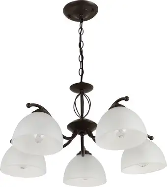 Подвесная люстра Rivoli Jackeline 9141-305 Б0054758 – изображение в каталоге