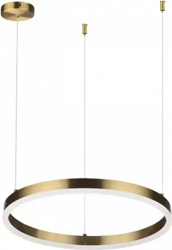 Припотолочная люстра Lumion Echo Ledio 6531/34L – изображение в каталоге